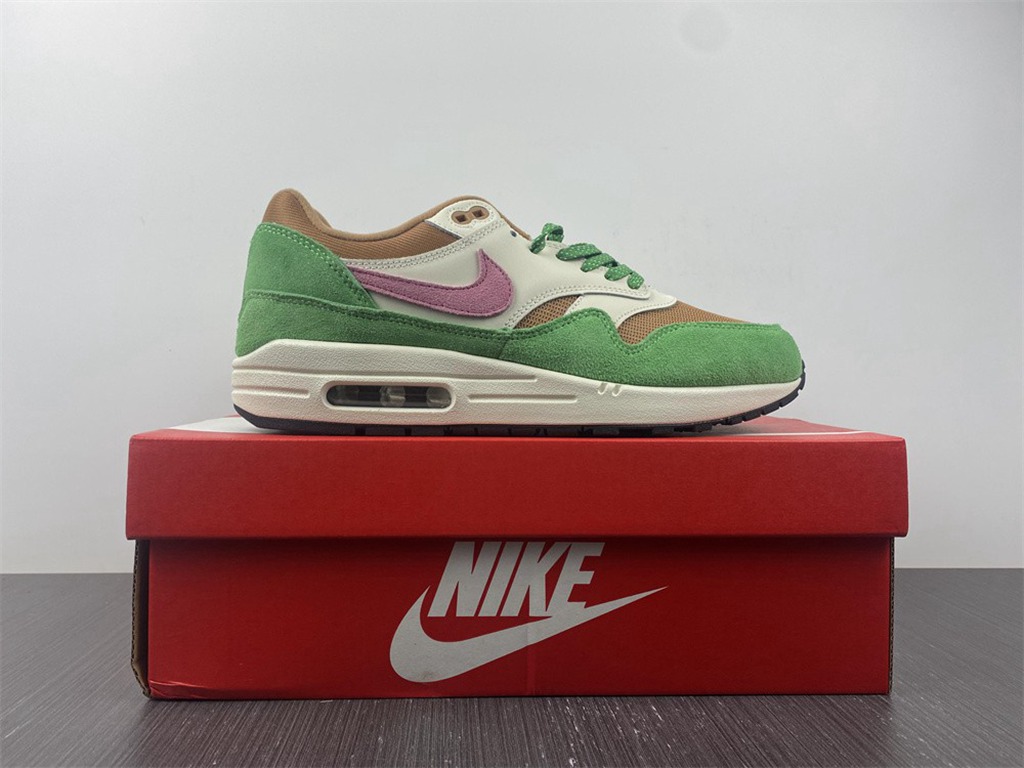 Nike Air Max 1 NH Treeline DR9773-300
